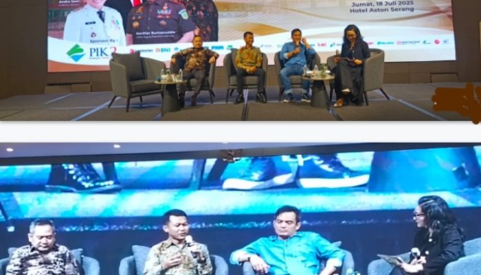 Danantara Harus Kongkrit Atasi Stagnasi Investasi di Daerah