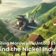 Mengungkap Kisah Industri Nikel Morowali